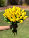 Yellow Tulip Bouquet - Price for 12 stems