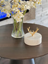 White Marble Round Box with Golden Horns