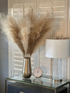 Large Light Brown Pampas Grass - Price includes 3 stems