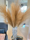 Large Light Brown Pampas Grass - Price includes 3 stems