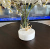 White Marble Round Box with Golden Horns